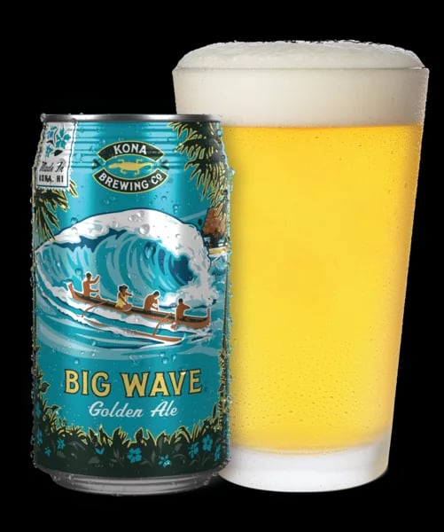 KONA BIG WAVE 25OZ SINGLE