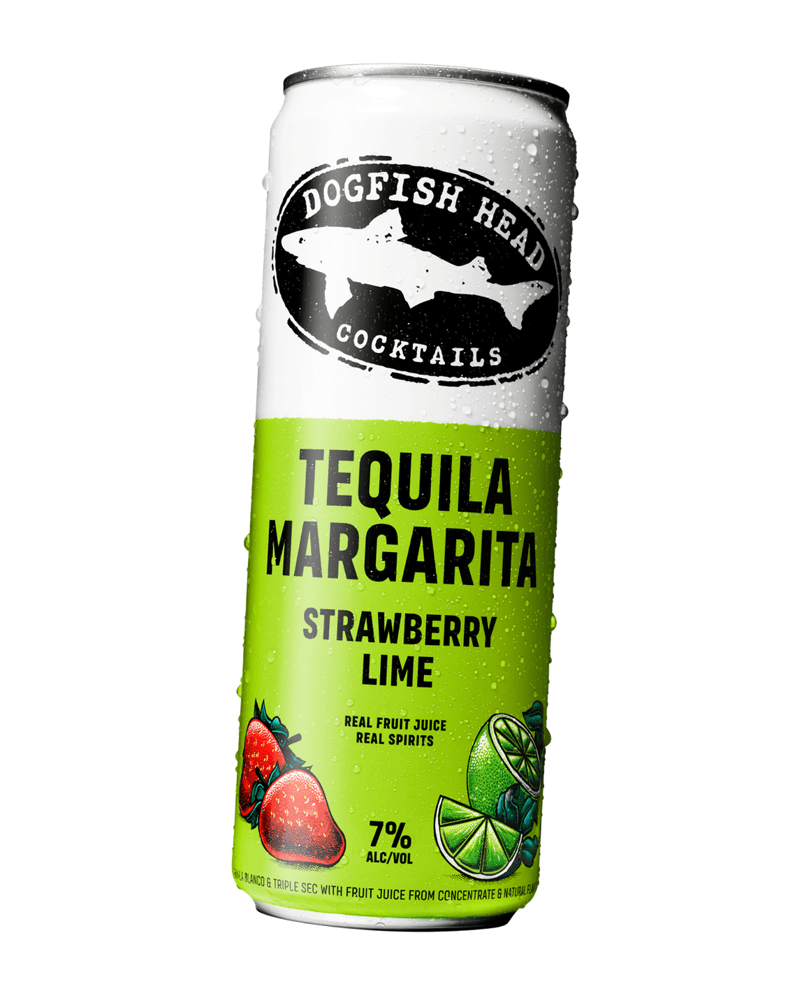 DOG FISH HEAD RTD TEQUILA MARGARITA STRAWBERRY LIME 4PK